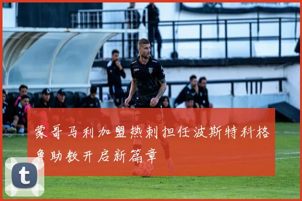 蒙哥马利加盟热刺担任波斯特科格鲁助教开启新篇章