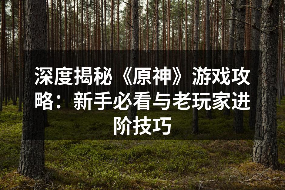 深度揭秘《原神》游戏攻略：新手必看与老玩