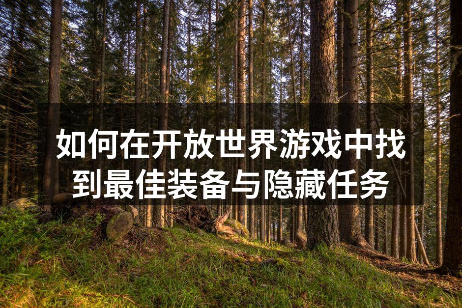 如何在开放世界游戏中找到最佳装备与隐藏任